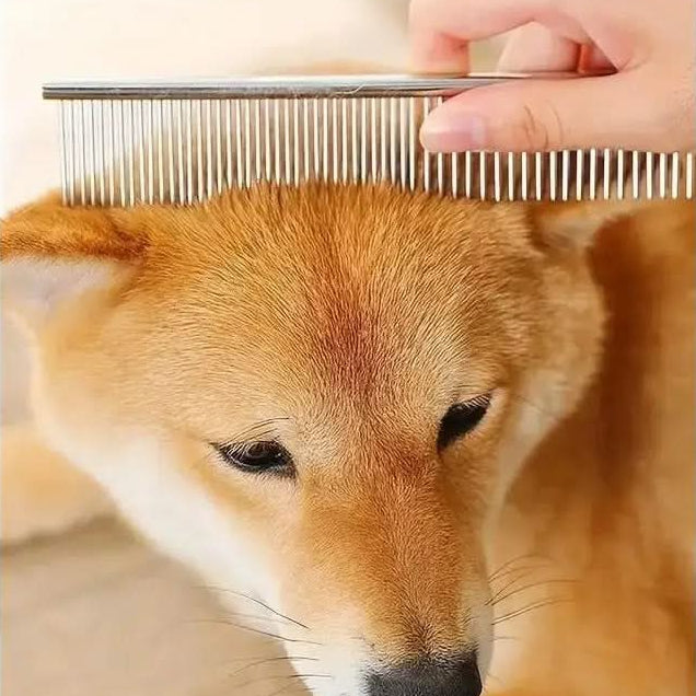 Pet Grooming Scissors Set for Dogs and Cats