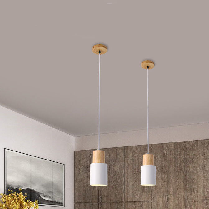 Modern Metal Pendant Light Fixture