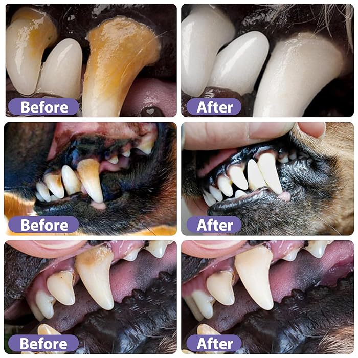 VitaPawSmile™ — Transform Your Pet’s Breath and Comfort into Endless Cuddles
