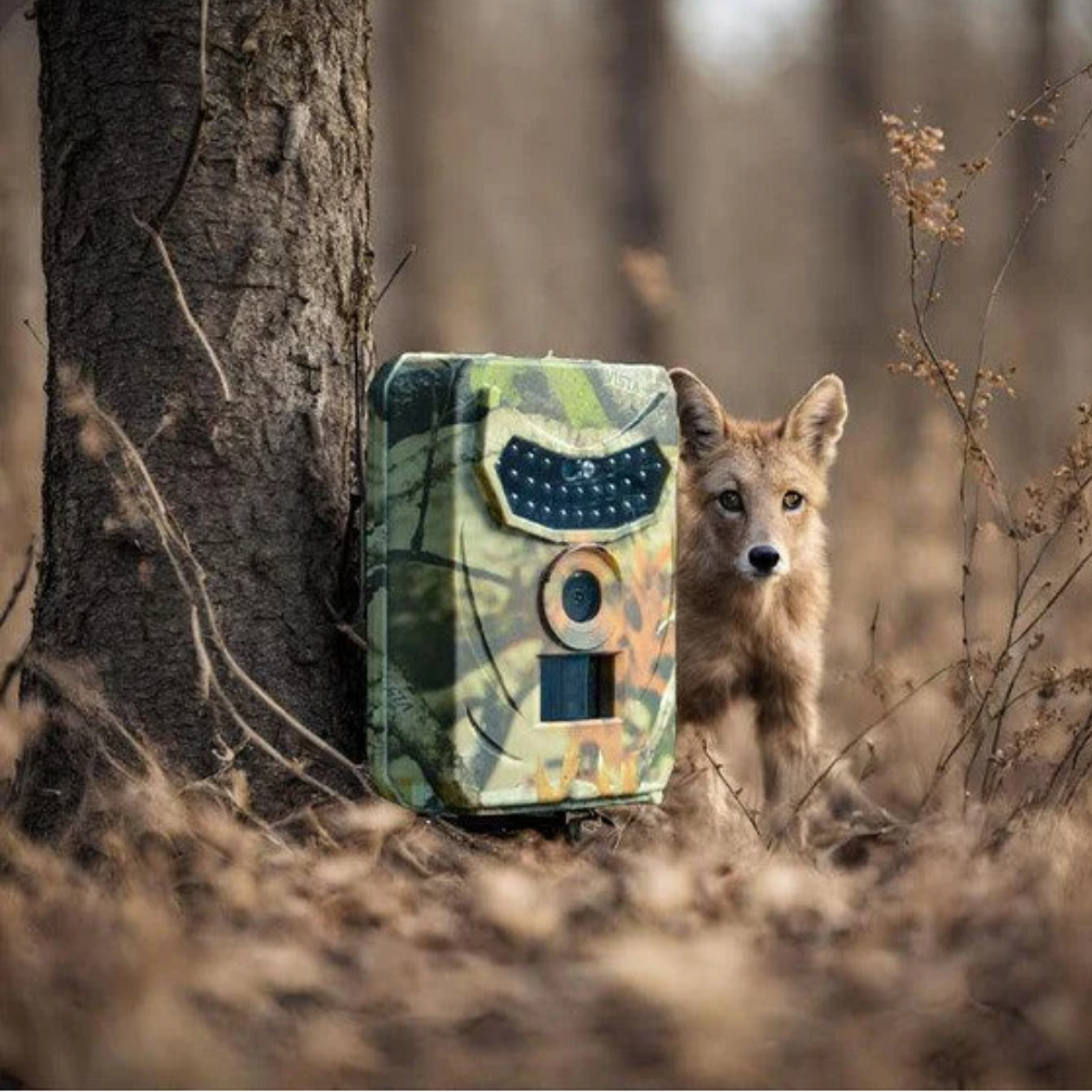 Wildlife Observer Pro - 1080p Night Vision & Rapid Motion Tracking