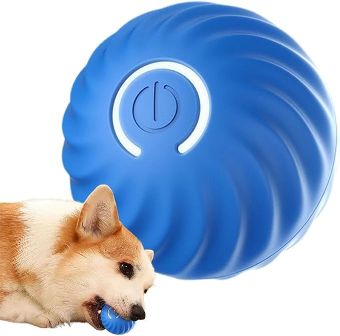 ChaseSpark™ — Ignite Your Dog’s Wild Instinct for Endless Play and Pure Joy