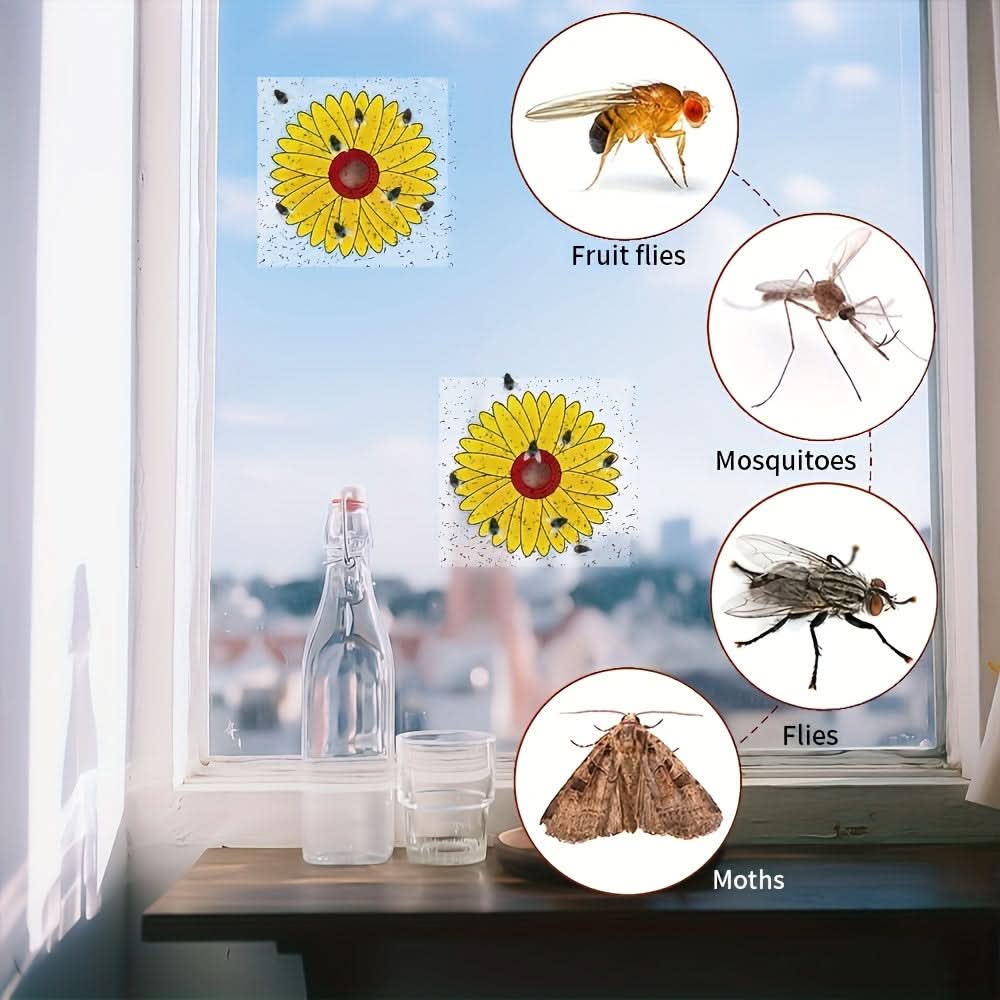 Window Insect Traps for Kitchens and Plants – Sticky Fly Catchers