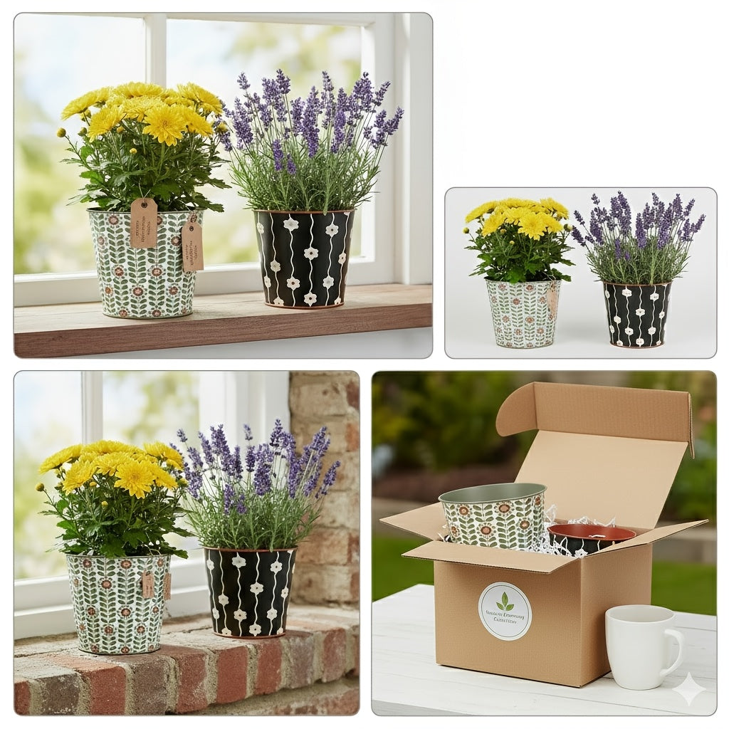 Charming Metal Planter Duo for Elegant Indoor Gardens