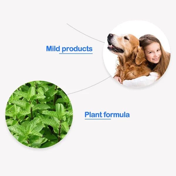 SofTouch™ — Effortless Minty Freshness That Brings You Closer to Your Pet