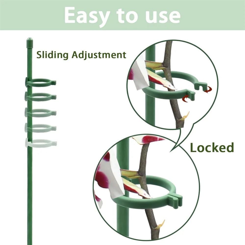 StellaStem™ — Rock-Solid Support for Plants That Rise Strong and Proud