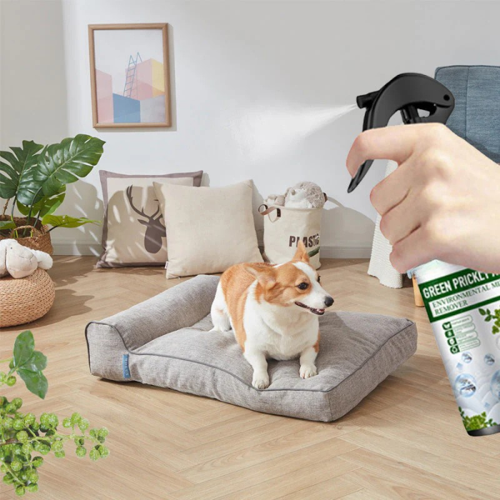 Aeroma™ — Breathe Easy Instantly with a Mite-Free, Fresh Home