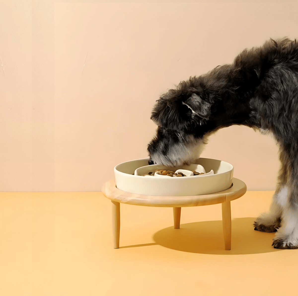 Stylish Ceramic Pet Bowl for Healthy Feeding Habits