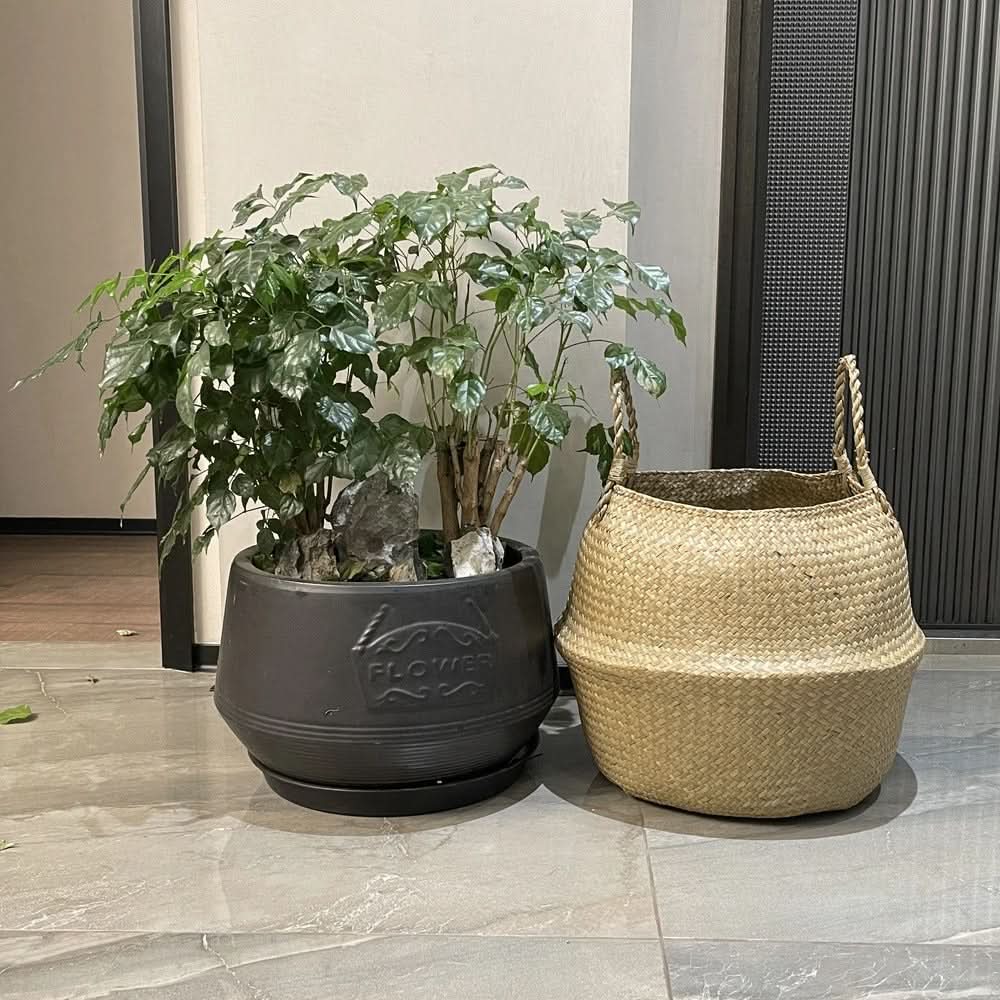 Seagrass Storage Basket – Handwoven Organizer for Home Decor