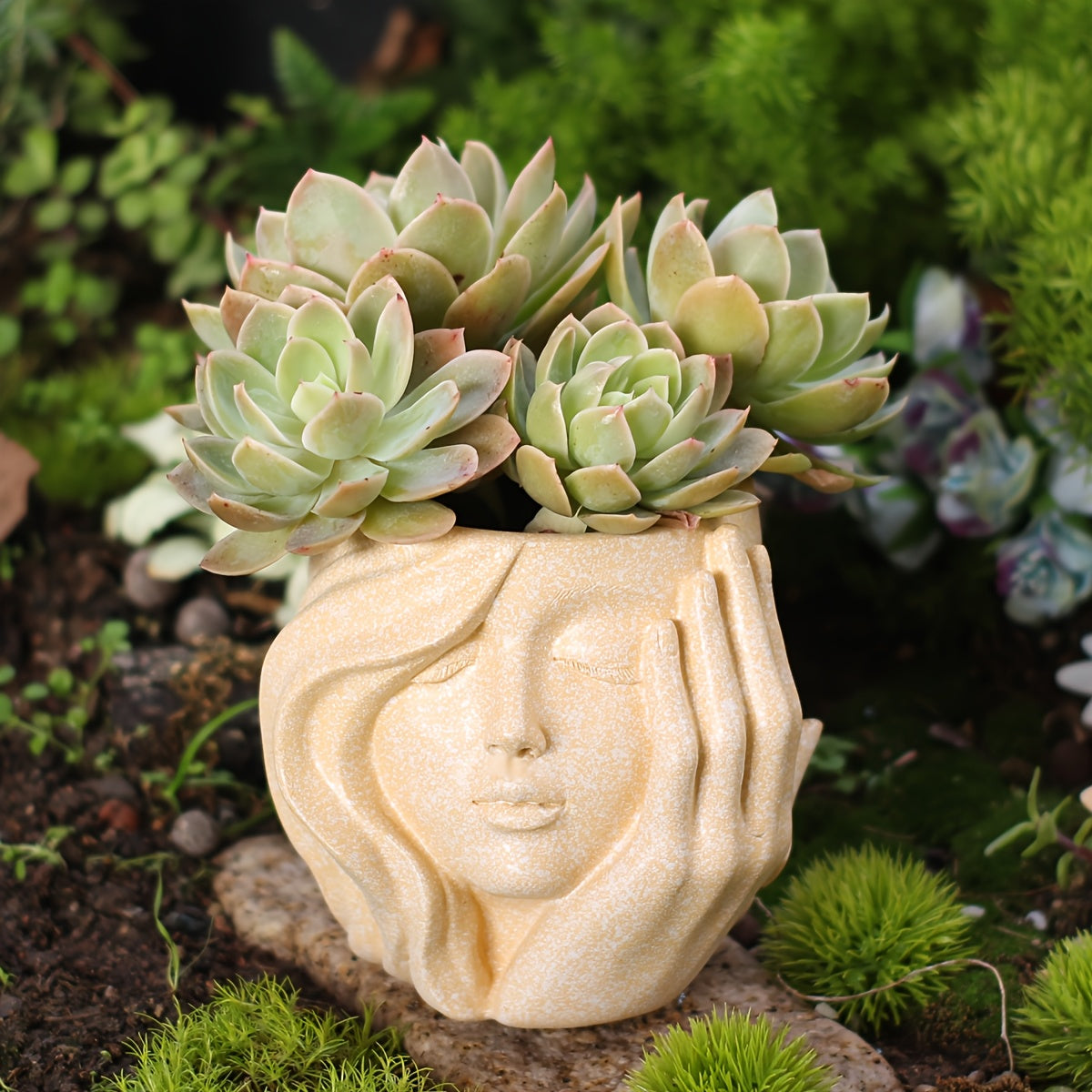 Charming Character Planter for Indoor and Outdoor Greenery