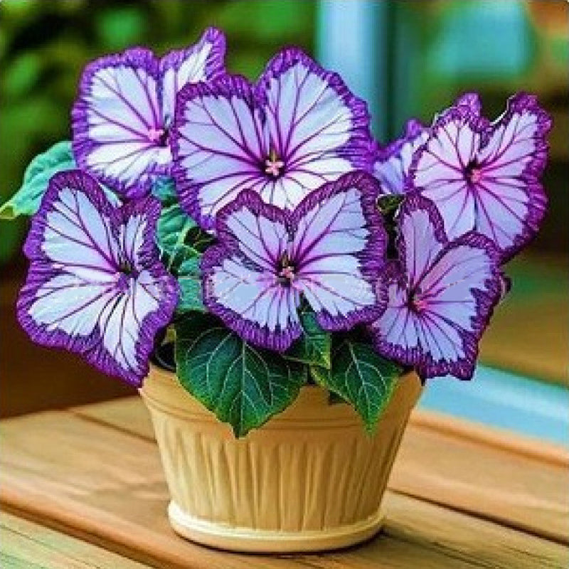 VividFlair™ Butterfly Bloom Seeds — Turn Your Garden Into a Dazzling Butterfly Wonderland That Steals Every Heart