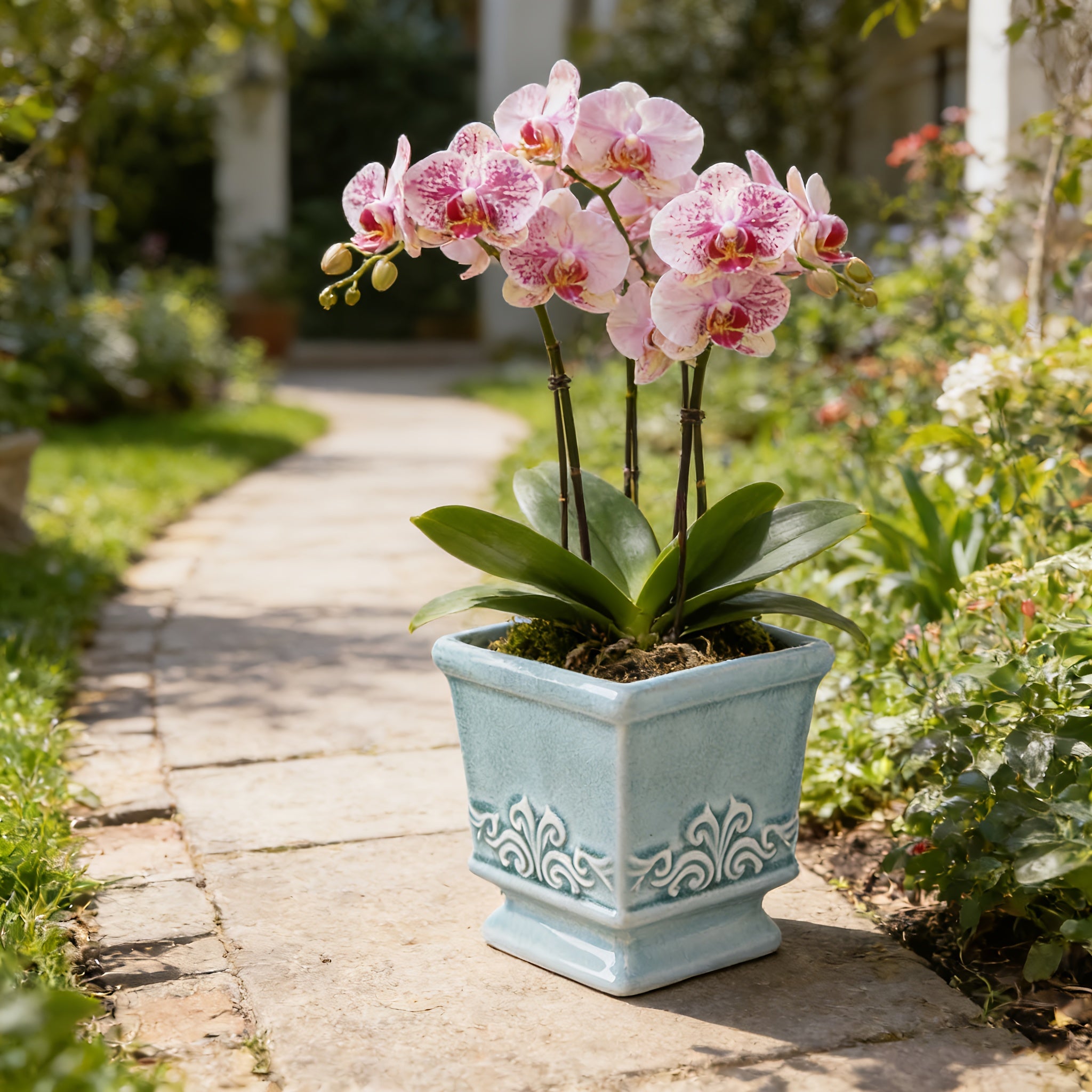 Rustic Elegance – Chic Ceramic Planter for Indoor Greens