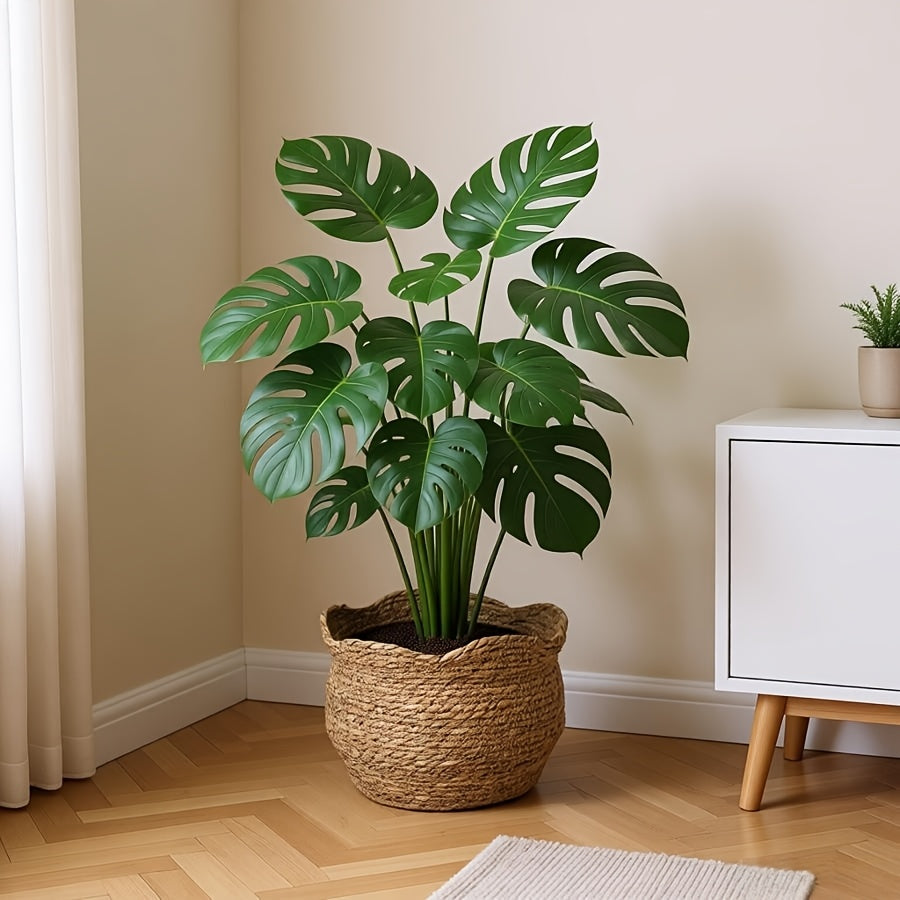 Woven Haven – Artisan Rattan Planter for Cozy Indoor Decor