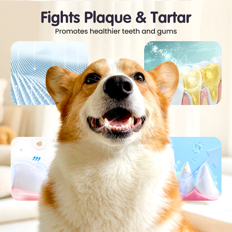 SmileGuard™ — Transform Your Pet’s Breath Into Pure Joy and Unstoppable Cuddles