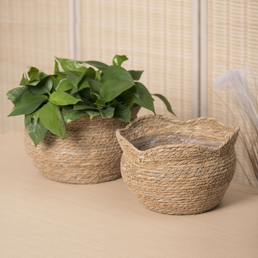 Woven Haven – Artisan Rattan Planter for Cozy Indoor Decor