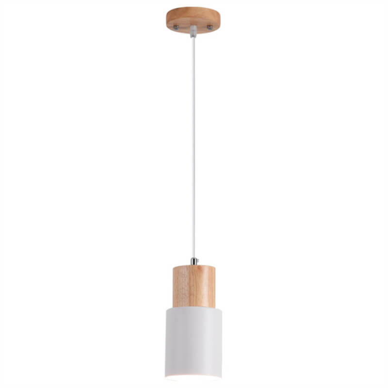 Modern Metal Pendant Light Fixture