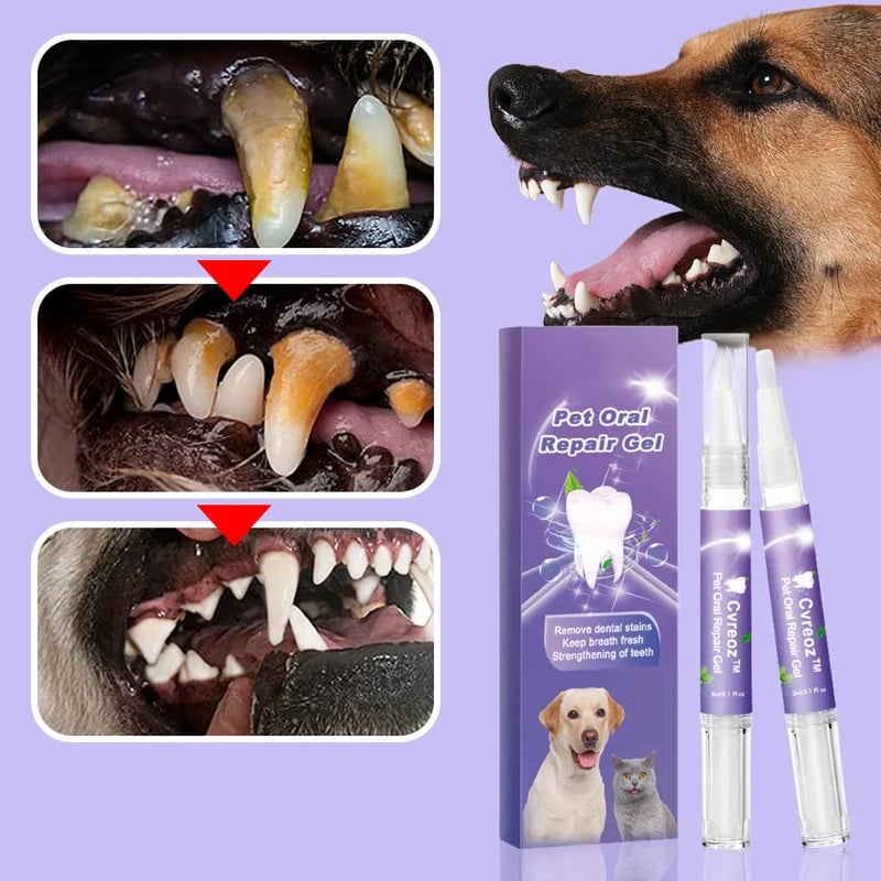 PurePaw™ — Transform Your Pet’s Smile with Fresh Breath and Comfort Every Day