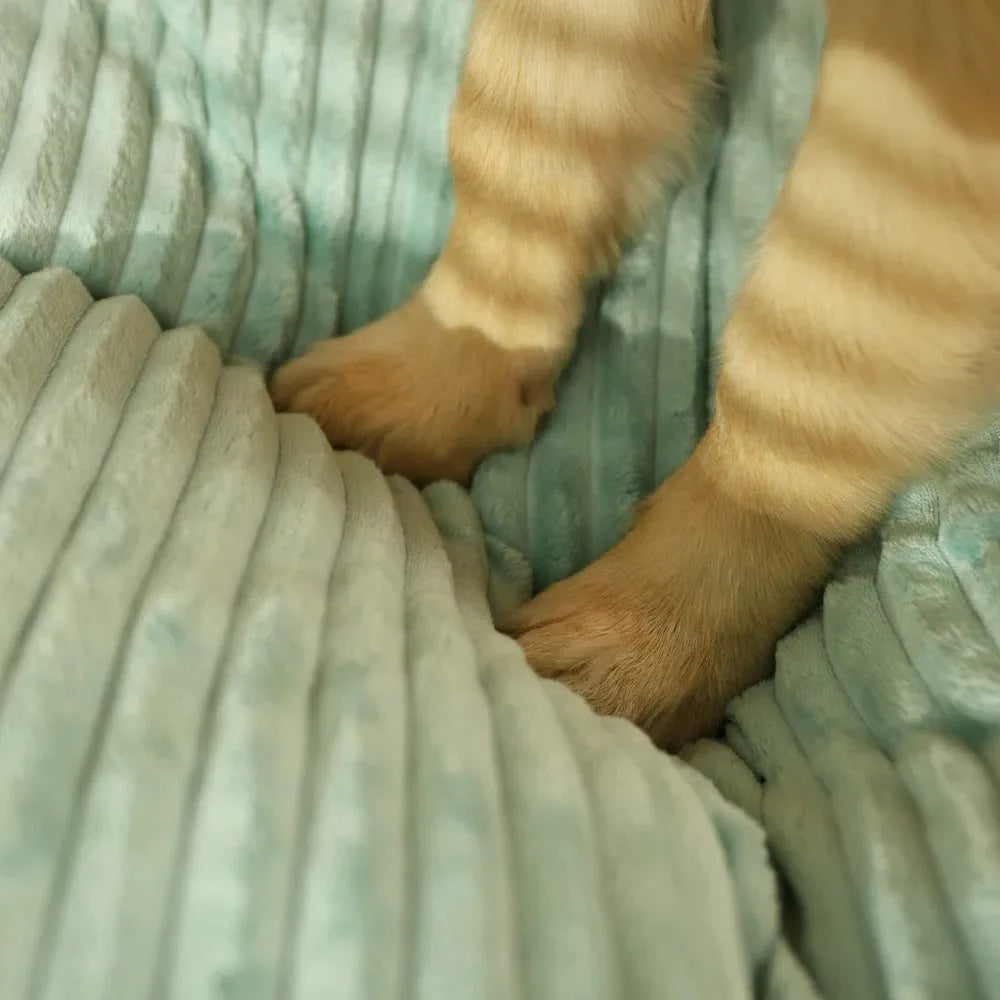 ComfortNest Orthopedic Dog Bed for All Breeds