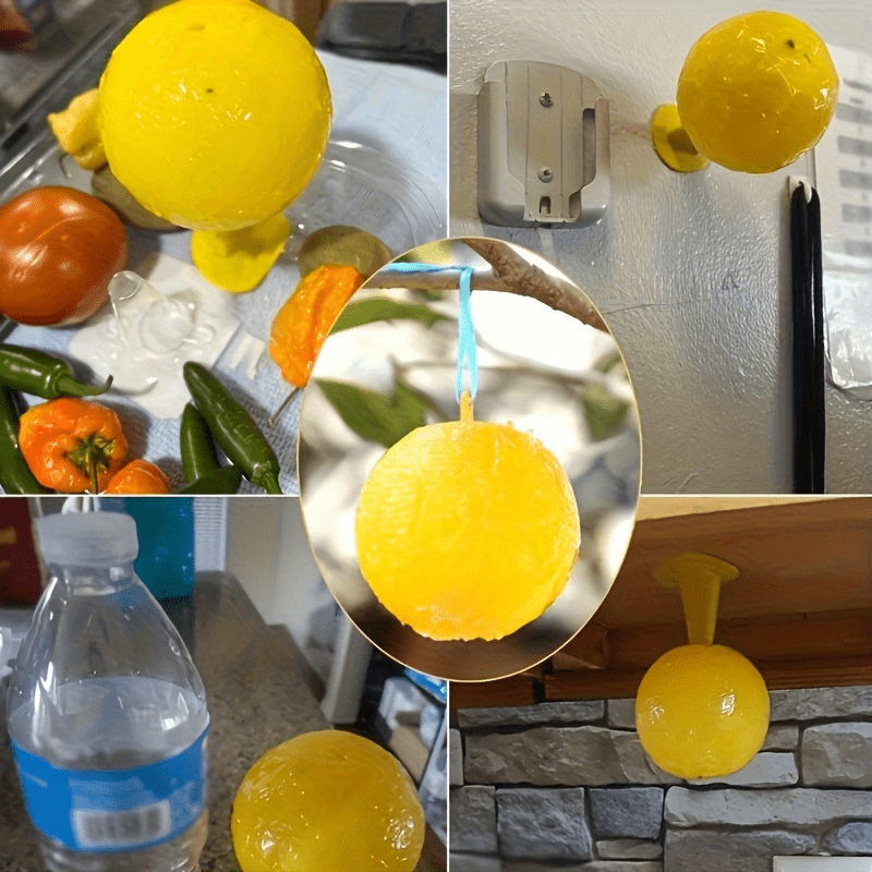 Insect Trap for Indoor and Outdoor Control of Flies and Fruit Flies