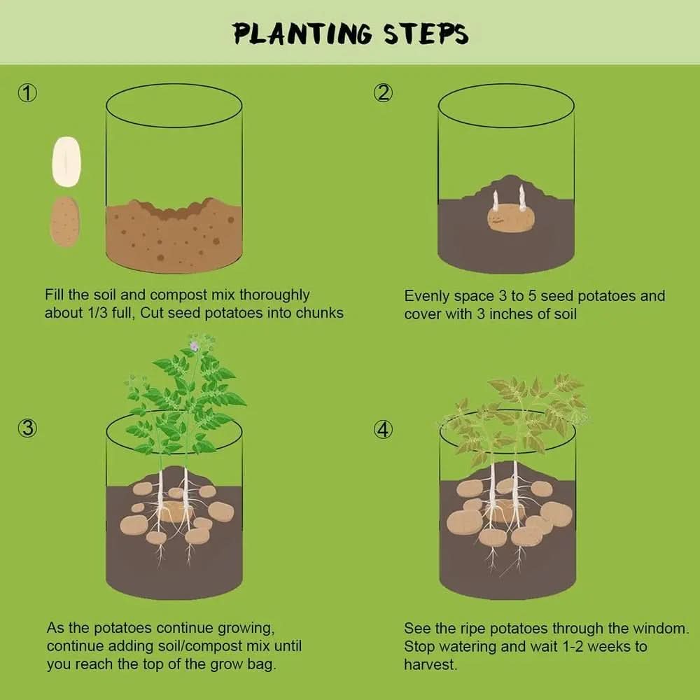 Set of Fabric Planter Bags for Growing Plants
