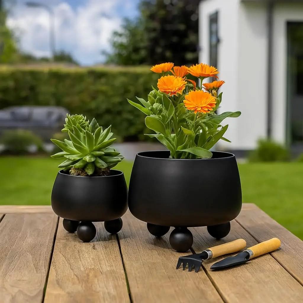 Contemporary Ceramic Plant Pot Collection