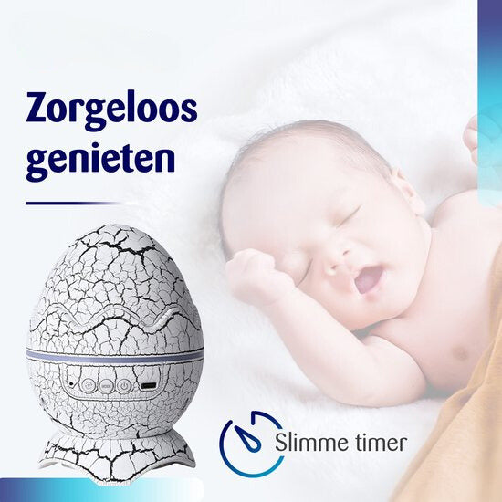 DinoDream – Magical Nights for Young and Old!
