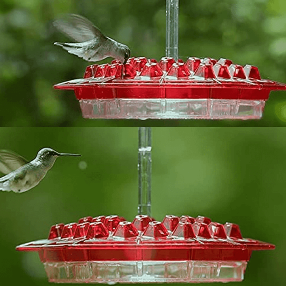 BloomGuard - Ant-Resistant Hummingbird Feeder with 30 Feeding Ports