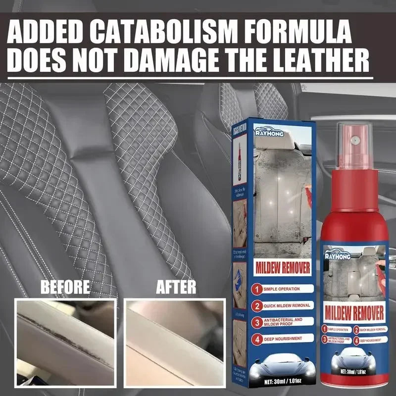 Mold Removal Spray for Interior Surfaces – Quick Application