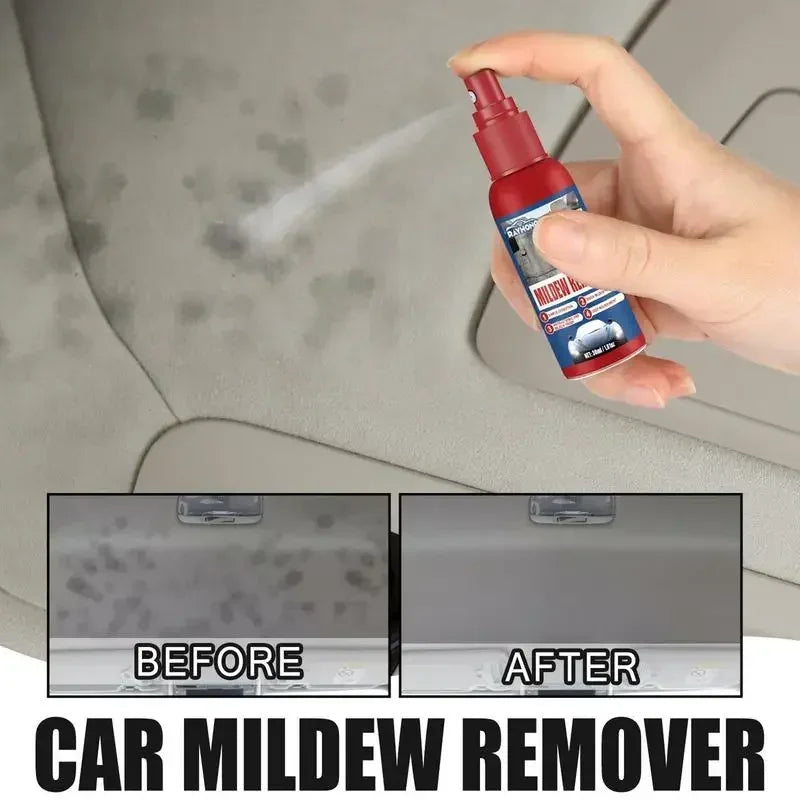 Mold Removal Spray for Interior Surfaces – Quick Application