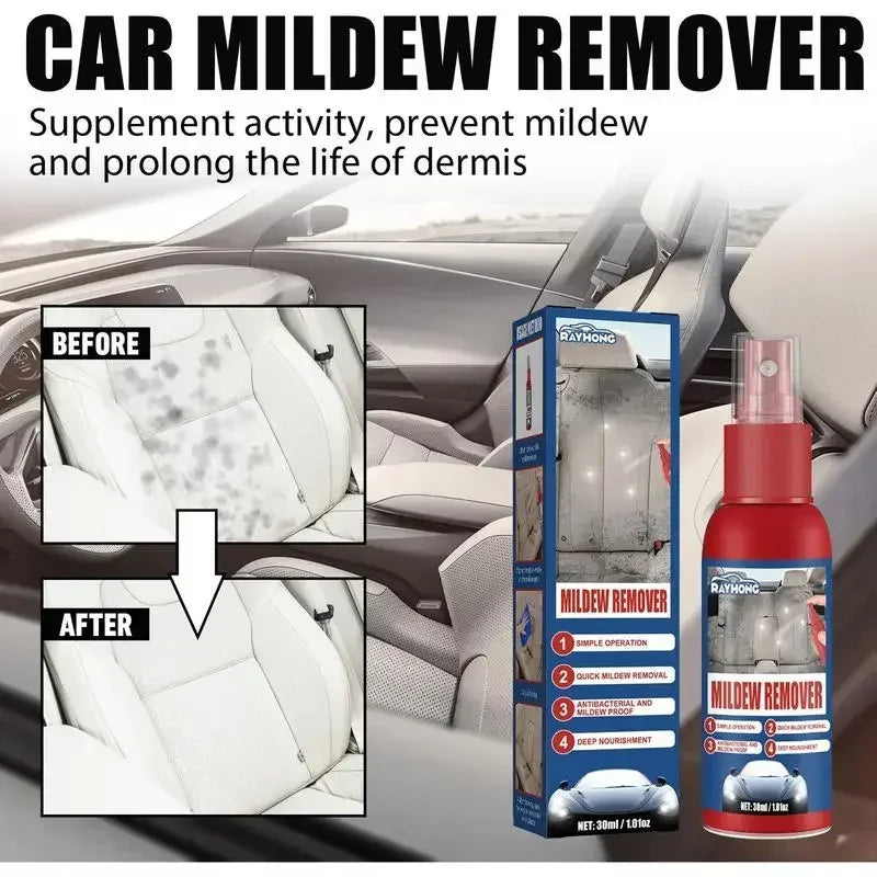 Mold Removal Spray for Interior Surfaces – Quick Application