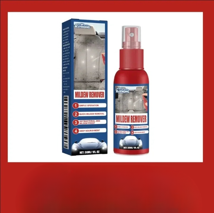 Mold Removal Spray for Interior Surfaces – Quick Application