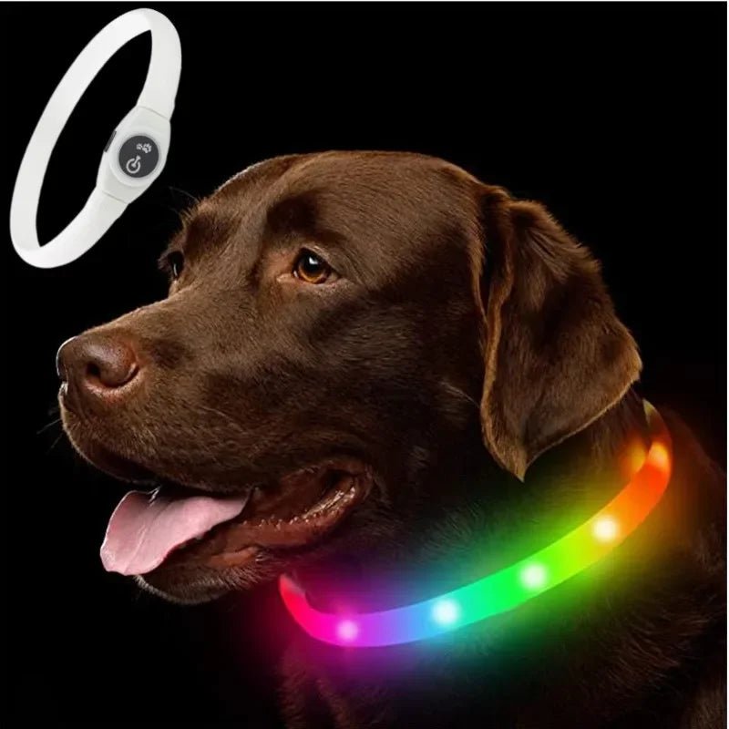 Illuminate Your Dog's Safety with Our Bright LED Collar