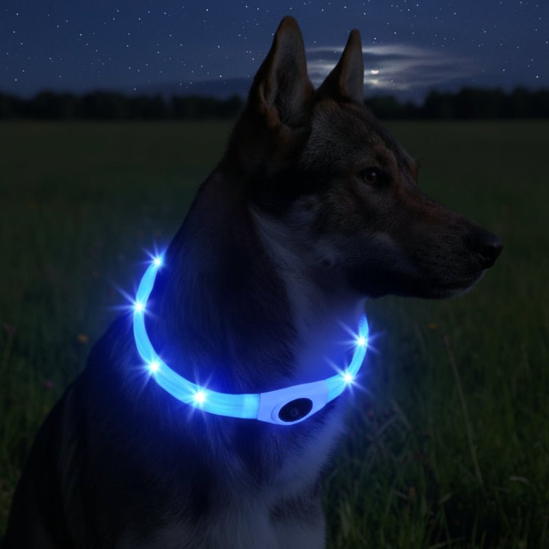 Illuminate Your Dog's Safety with Our Bright LED Collar