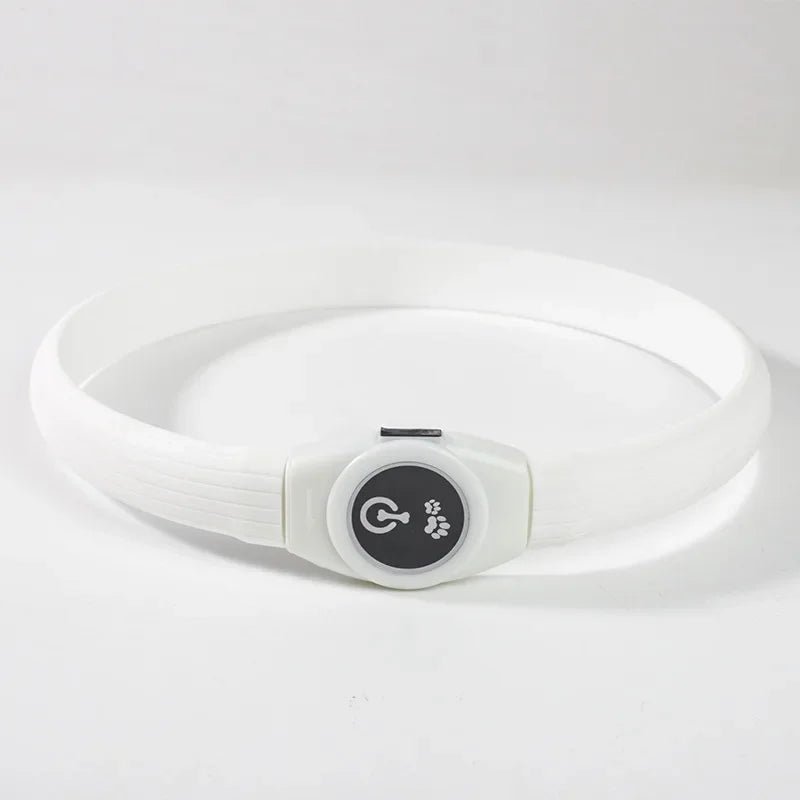 Illuminate Your Dog's Safety with Our Bright LED Collar