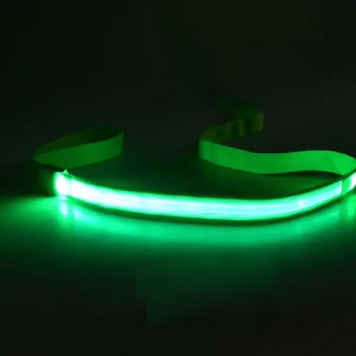 Lighted Dog Leash with USB Recharge & Safety Reflectors