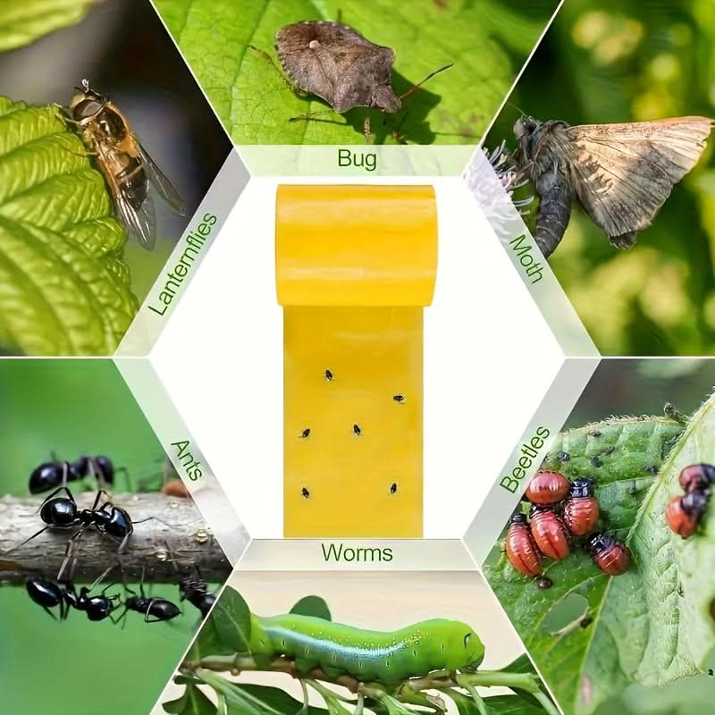 Sticky Insect Control Tape for Outdoor Use