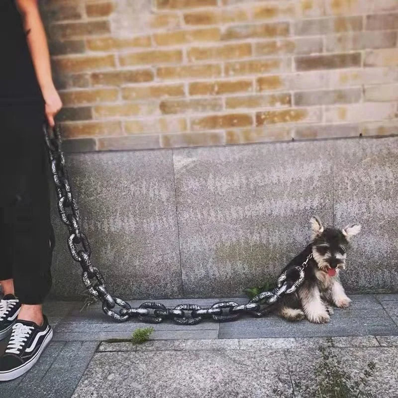 FlexiPaw Durable Adjustable Dog Collar with Metal Chain