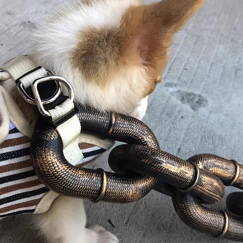 FlexiPaw Durable Adjustable Dog Collar with Metal Chain