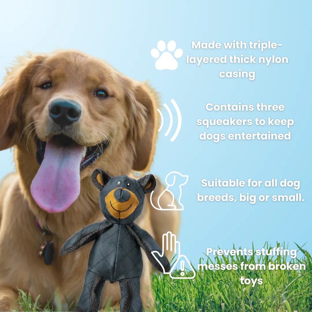 Indestructible Fun for a Happy and Healthy Dog