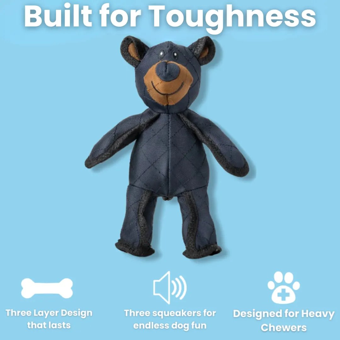 Indestructible Fun for a Happy and Healthy Dog