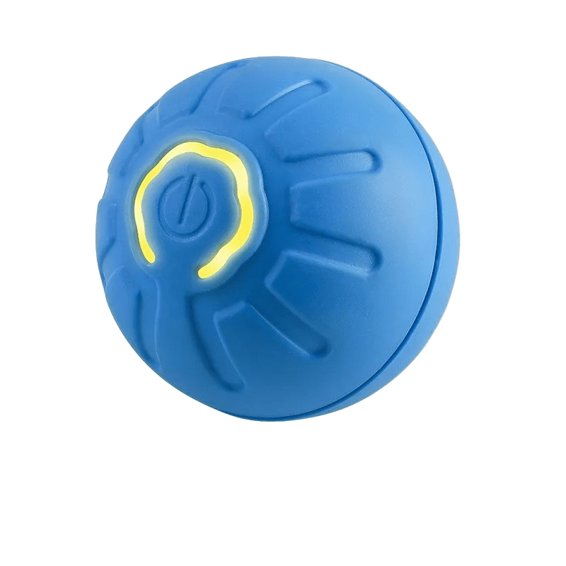 Rechargeable Playful Paws Ball for Dogs