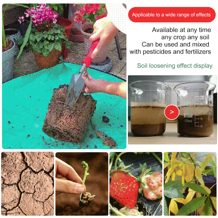 Soil Improvement Powder | Potassium Mineral Complex | For Beds and Pots
