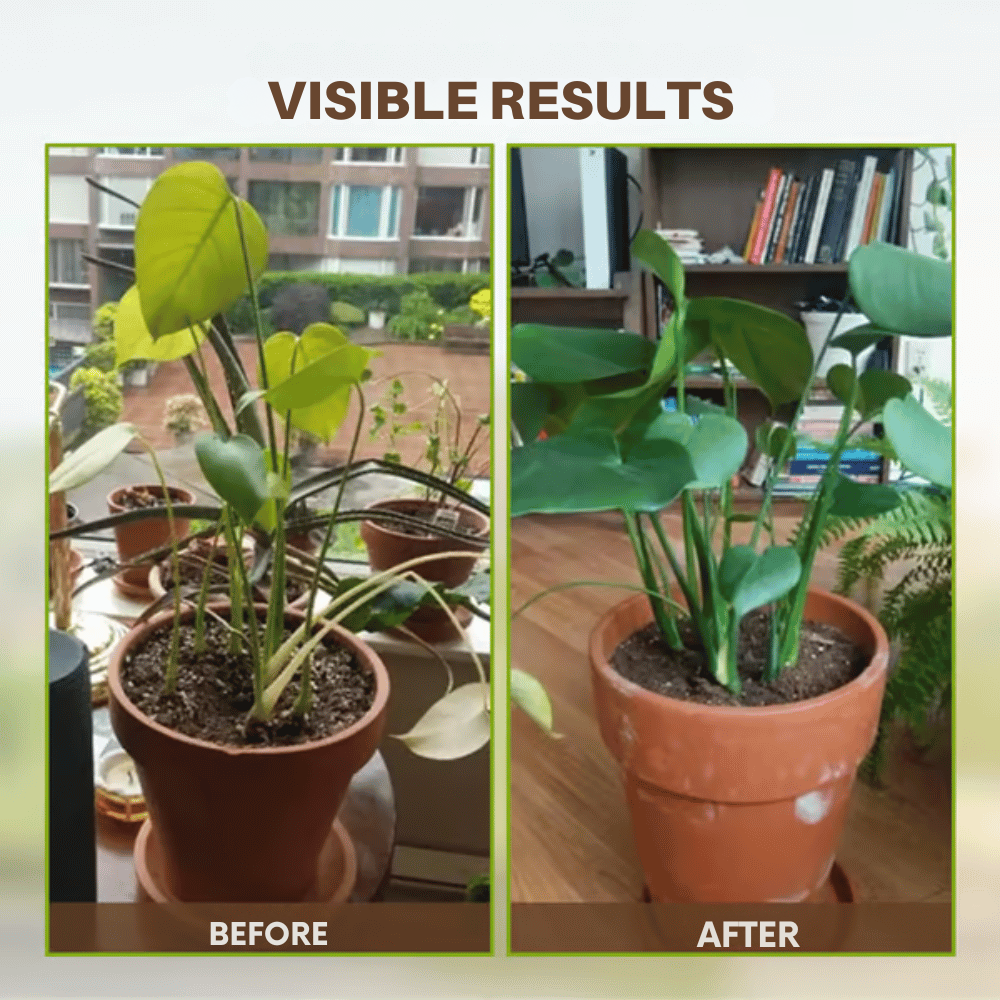 Soil Improvement Powder | Potassium Mineral Complex | For Beds and Pots