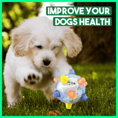 Fun Ball for Dogs – Keeps Boredom at Bay