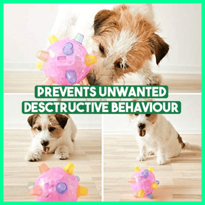 Fun Ball for Dogs – Keeps Boredom at Bay