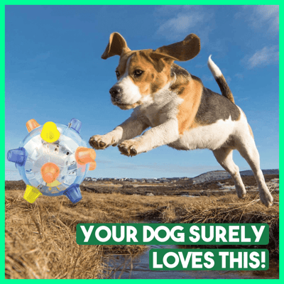 Fun Ball for Dogs – Keeps Boredom at Bay