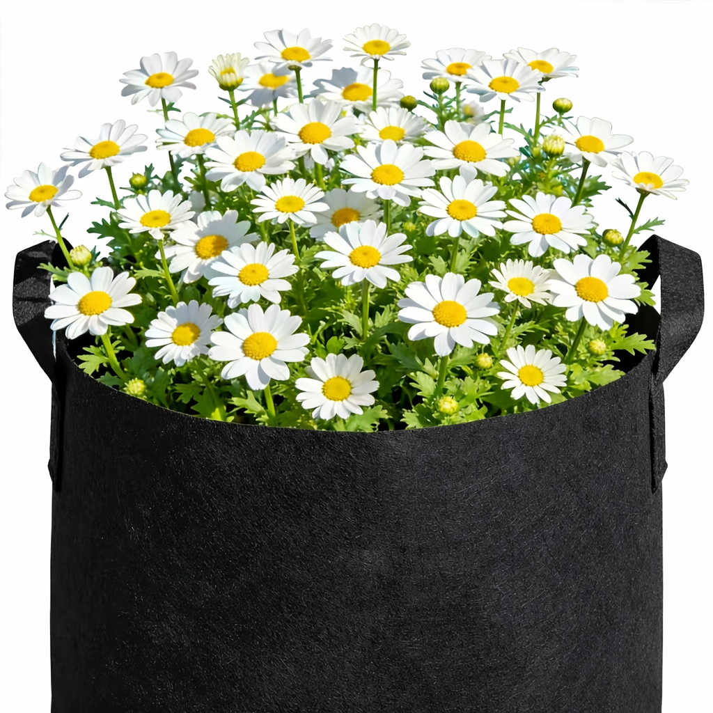 EcoGrow Fabric Planter Bags for Thriving Root Systems