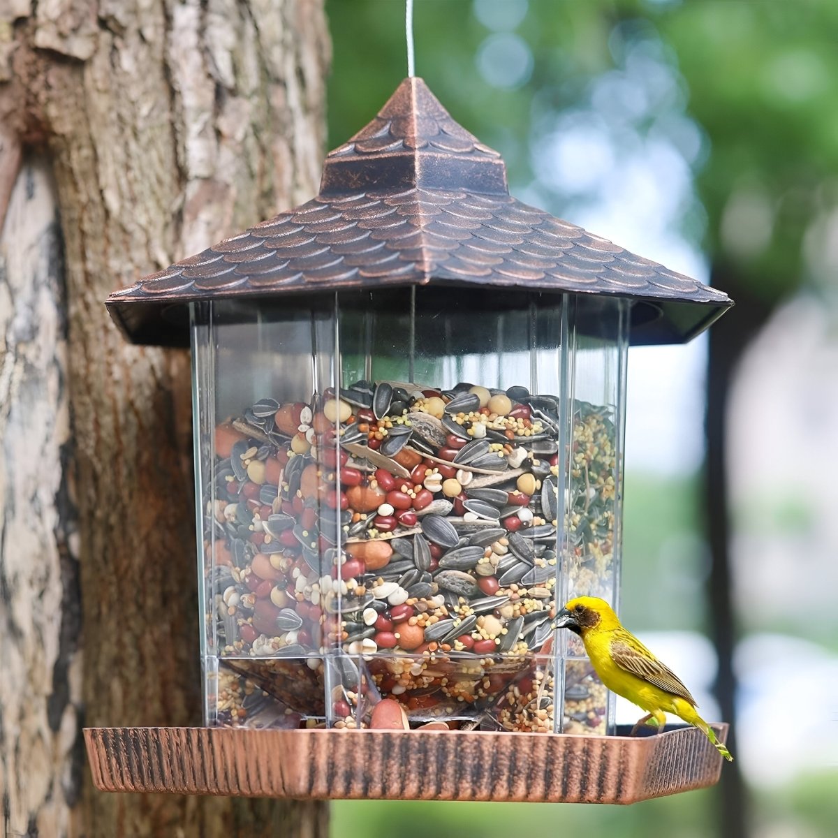 Chic Weatherproof Bird Feeder for Outdoor Elegance