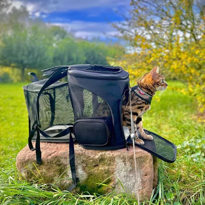 Cozy Cat Carrier with Panoramic Viewport