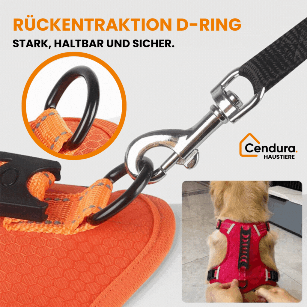Ultimate Comfort Harness for Dogs | Reflective Safety Design