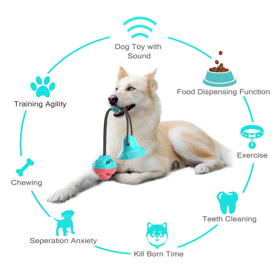 Interactive Dog Toy with Suction Cup – Chewable Fun